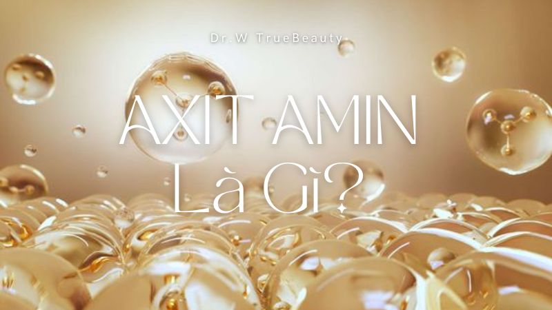 Axit amin là gì?