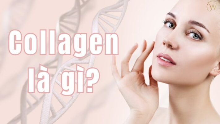 Collagen là gì?