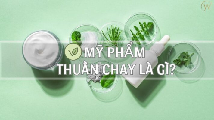 Mỹ phẩm thuần chay là gì?