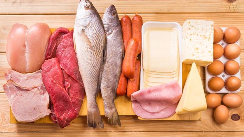 胜肽是什麼?如何透過食物補充胜肽?