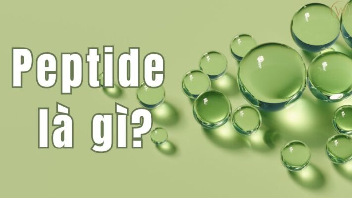 Peptide là gì?