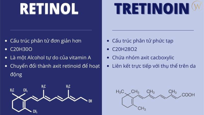 Retinol 與 Tretinoin 的比較