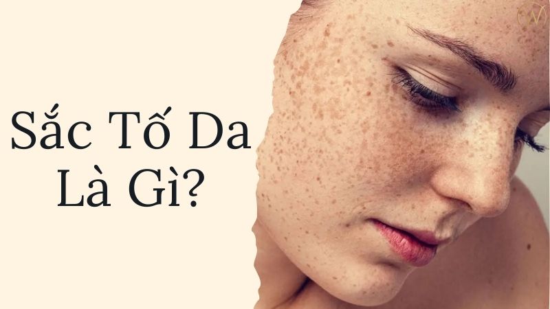 Sắc tố da là gì?