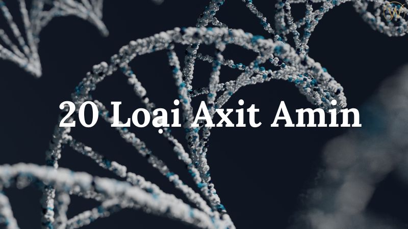 20 loại axit amin
