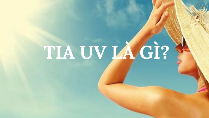Tia UV là gì?